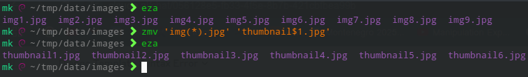 zsh2